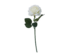 Роза 50см белая 